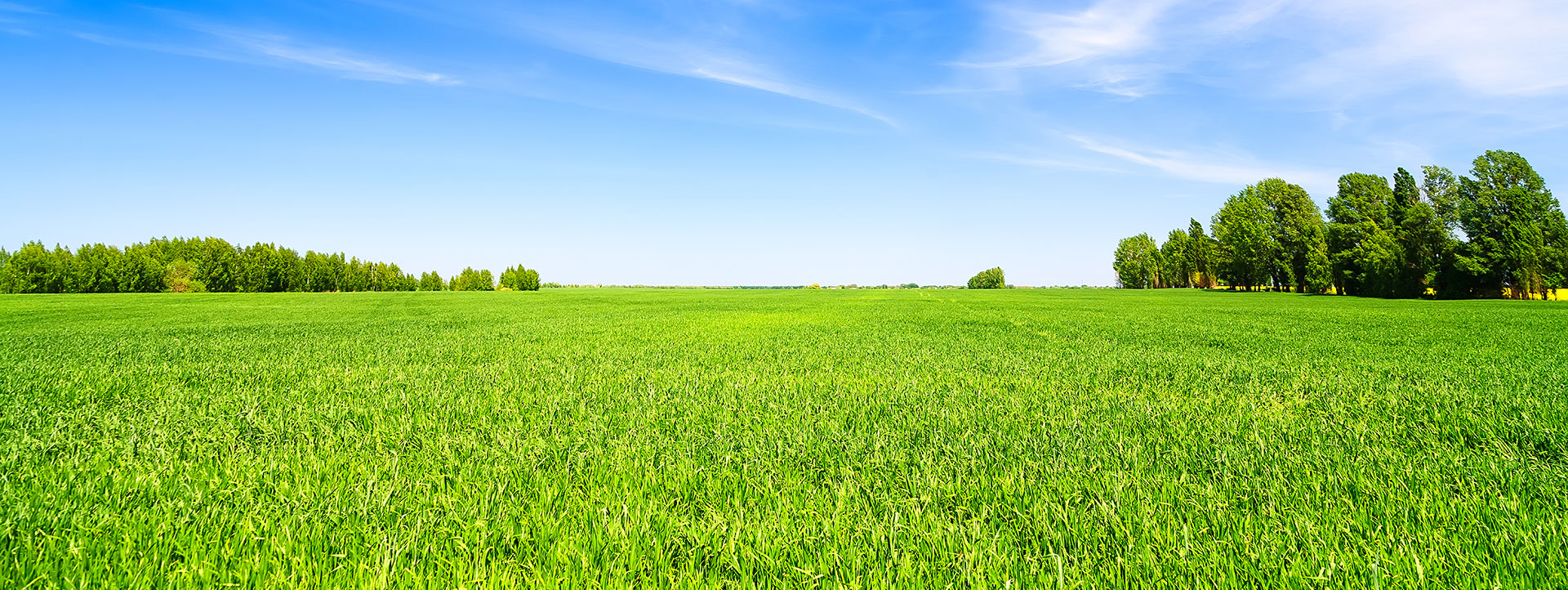 Slide background